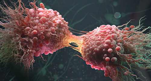 Раковые клетки могут сопротивляться химиотерапии, переходя в спящее состояние